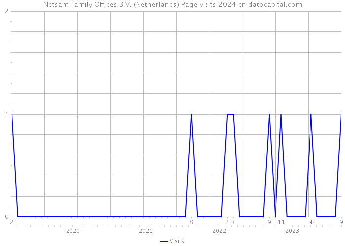 Netsam Family Offices B.V. (Netherlands) Page visits 2024 