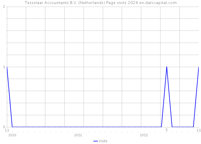 Tesselaar Accountants B.V. (Netherlands) Page visits 2024 