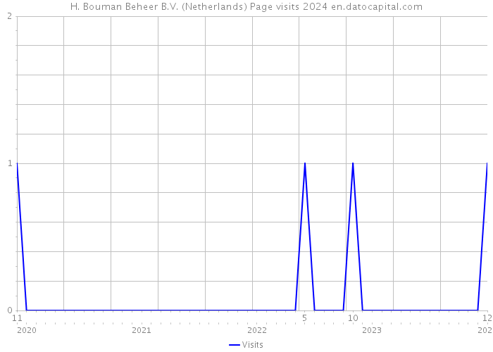 H. Bouman Beheer B.V. (Netherlands) Page visits 2024 