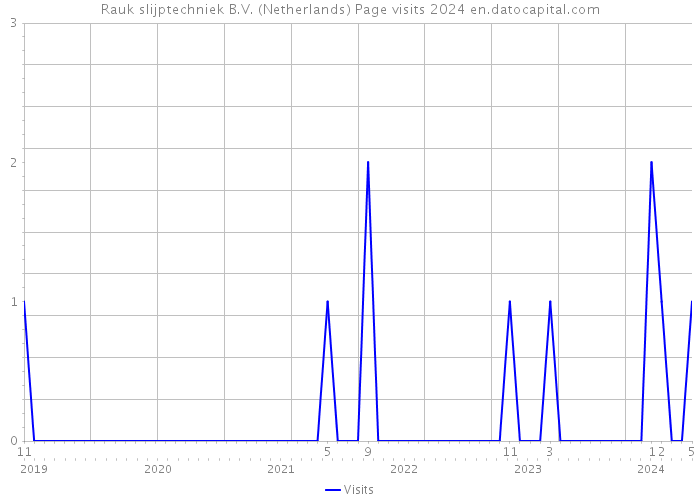 Rauk slijptechniek B.V. (Netherlands) Page visits 2024 