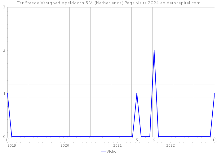 Ter Steege Vastgoed Apeldoorn B.V. (Netherlands) Page visits 2024 