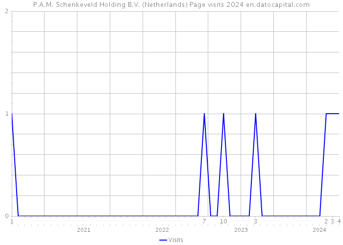 P.A.M. Schenkeveld Holding B.V. (Netherlands) Page visits 2024 