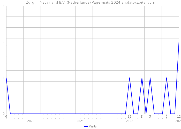 Zorg in Nederland B.V. (Netherlands) Page visits 2024 