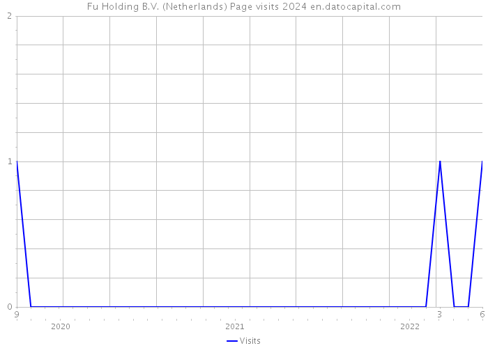 Fu Holding B.V. (Netherlands) Page visits 2024 