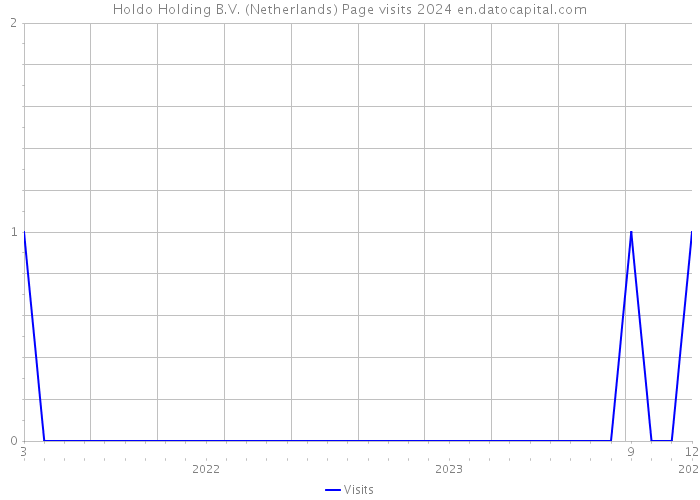 Holdo Holding B.V. (Netherlands) Page visits 2024 