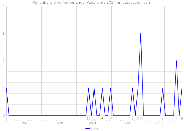 Rijnenberg B.V. (Netherlands) Page visits 2024 