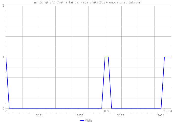 Tim Zorgt B.V. (Netherlands) Page visits 2024 