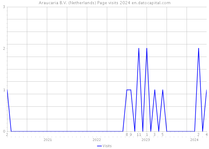 Araucaria B.V. (Netherlands) Page visits 2024 