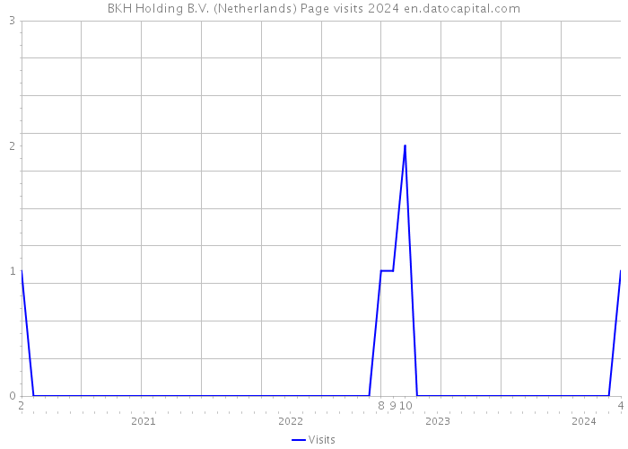 BKH Holding B.V. (Netherlands) Page visits 2024 
