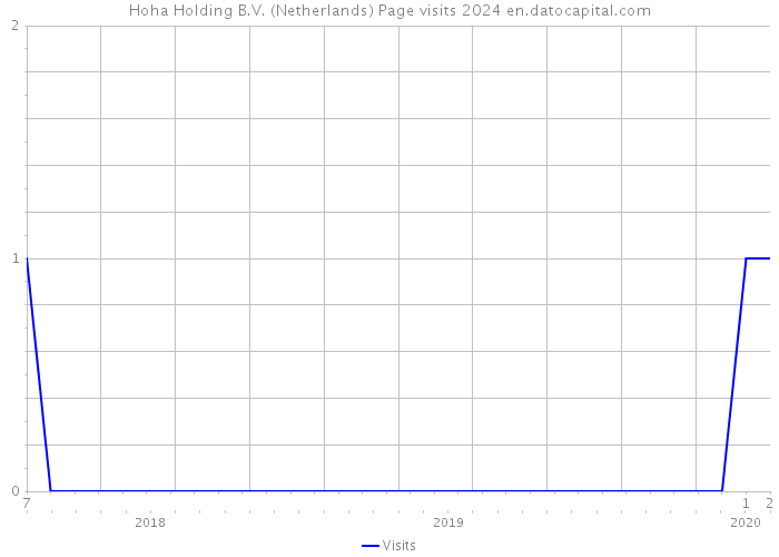 Hoha Holding B.V. (Netherlands) Page visits 2024 