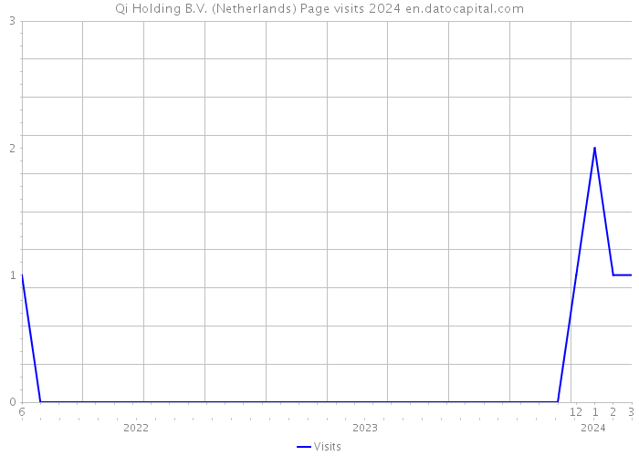 Qi Holding B.V. (Netherlands) Page visits 2024 