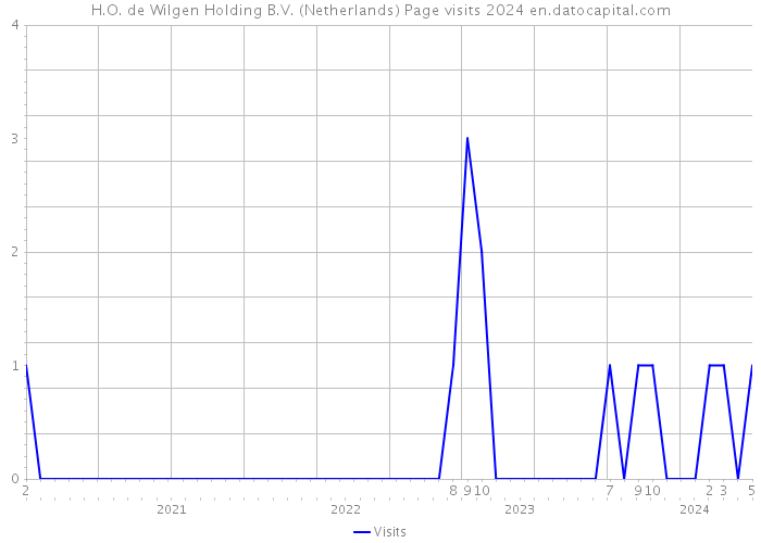 H.O. de Wilgen Holding B.V. (Netherlands) Page visits 2024 