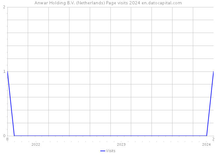 Anwar Holding B.V. (Netherlands) Page visits 2024 