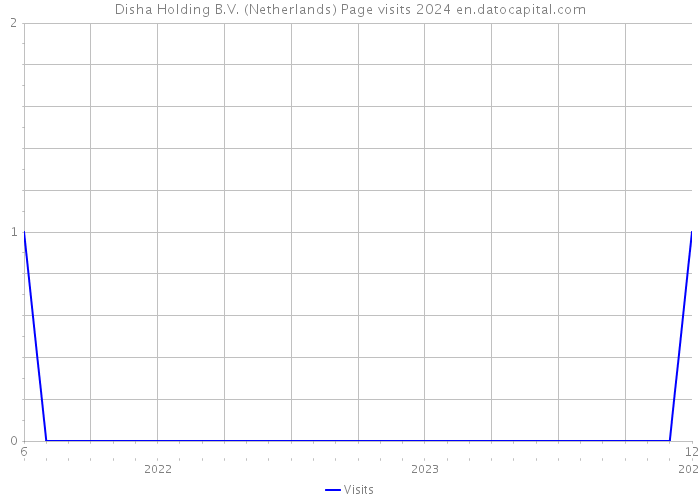 Disha Holding B.V. (Netherlands) Page visits 2024 