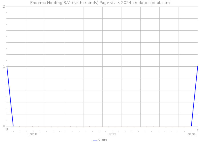 Endema Holding B.V. (Netherlands) Page visits 2024 
