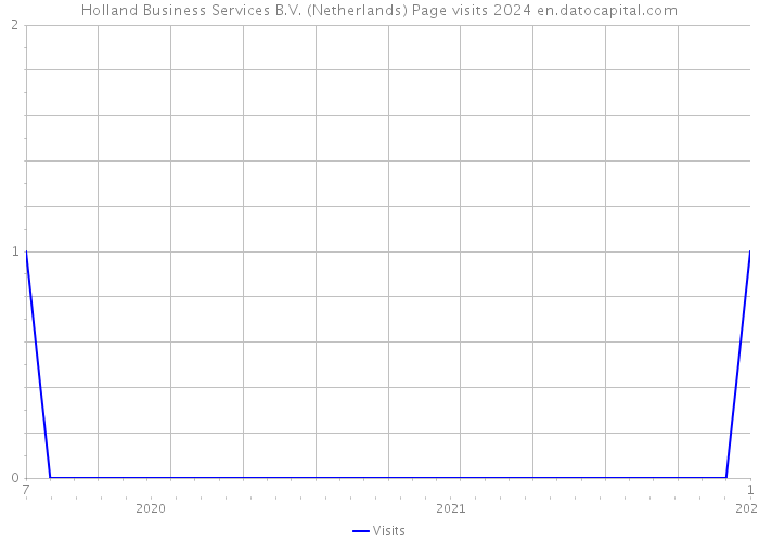 Holland Business Services B.V. (Netherlands) Page visits 2024 