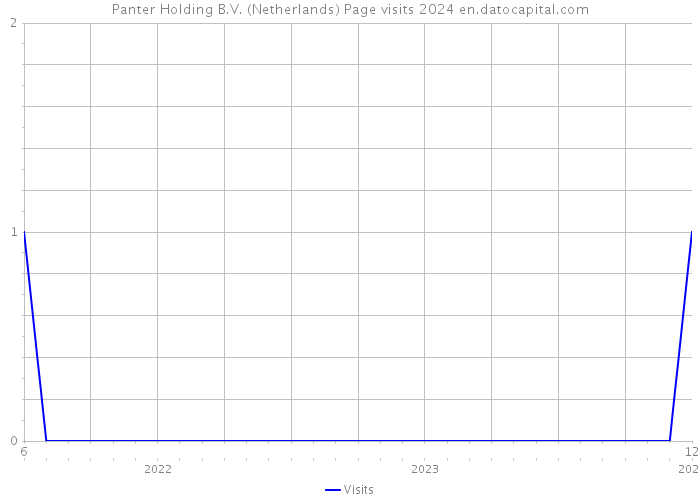 Panter Holding B.V. (Netherlands) Page visits 2024 