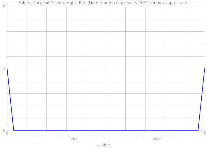 Salient Surgical Technologies B.V. (Netherlands) Page visits 2024 