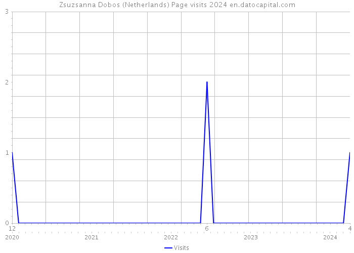 Zsuzsanna Dobos (Netherlands) Page visits 2024 