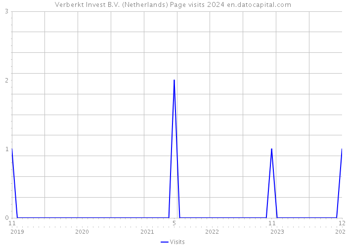 Verberkt Invest B.V. (Netherlands) Page visits 2024 