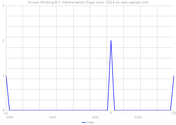 Accent Holding B.V. (Netherlands) Page visits 2024 
