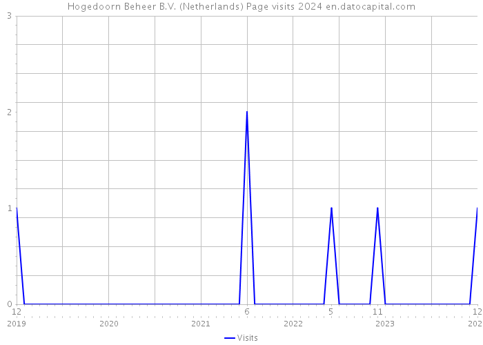 Hogedoorn Beheer B.V. (Netherlands) Page visits 2024 