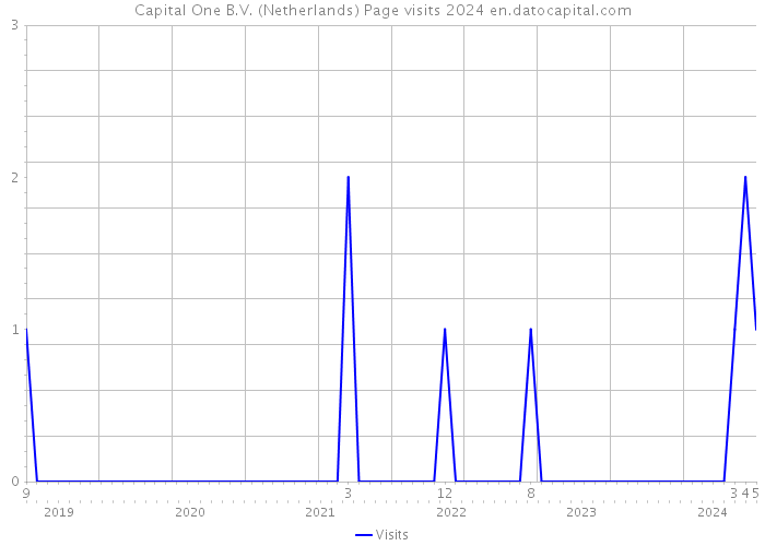 Capital One B.V. (Netherlands) Page visits 2024 