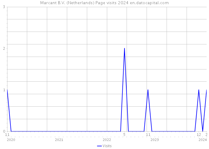 Marcant B.V. (Netherlands) Page visits 2024 