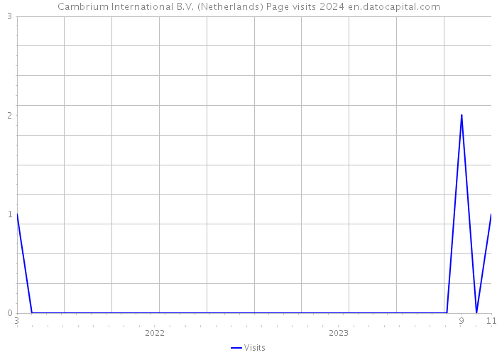 Cambrium International B.V. (Netherlands) Page visits 2024 