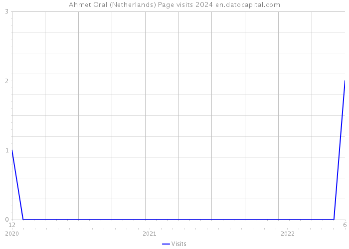 Ahmet Oral (Netherlands) Page visits 2024 