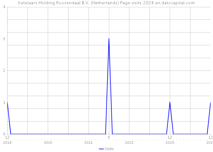 Ketelaars Holding Roosendaal B.V. (Netherlands) Page visits 2024 