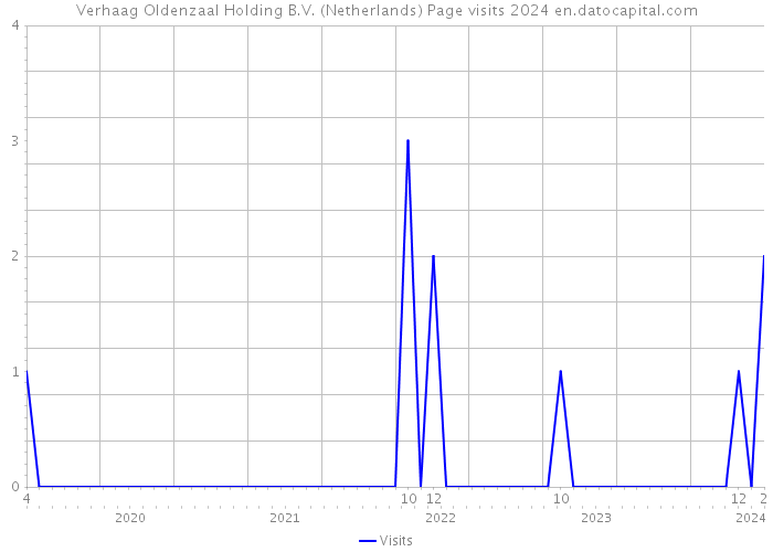 Verhaag Oldenzaal Holding B.V. (Netherlands) Page visits 2024 