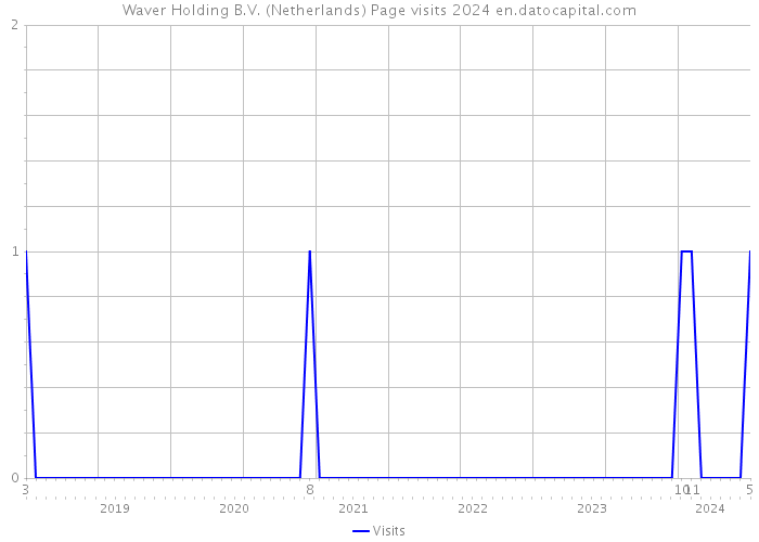 Waver Holding B.V. (Netherlands) Page visits 2024 