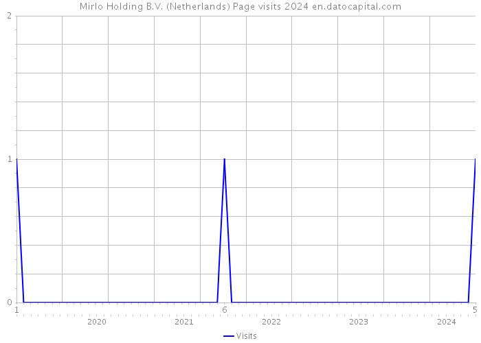 Mirlo Holding B.V. (Netherlands) Page visits 2024 