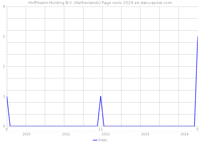 Hoffmann Holding B.V. (Netherlands) Page visits 2024 