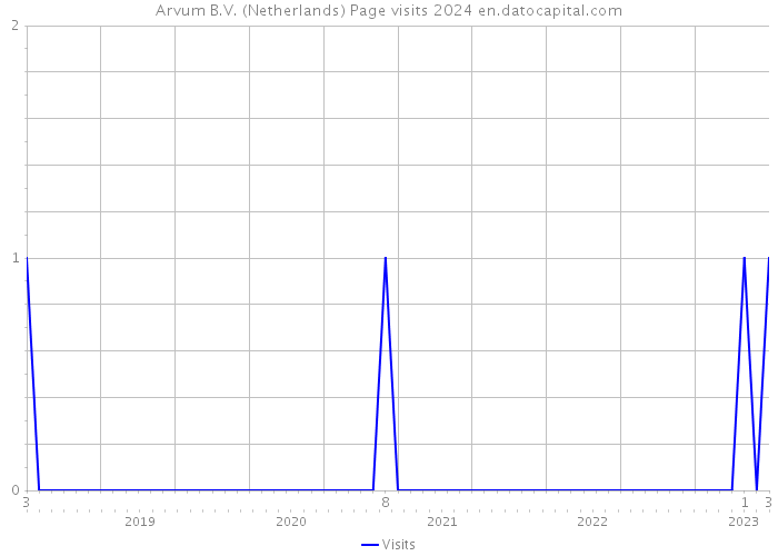 Arvum B.V. (Netherlands) Page visits 2024 