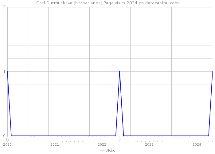 Oral Durmuskaya (Netherlands) Page visits 2024 