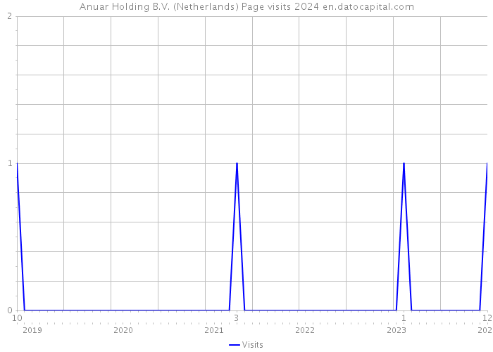 Anuar Holding B.V. (Netherlands) Page visits 2024 