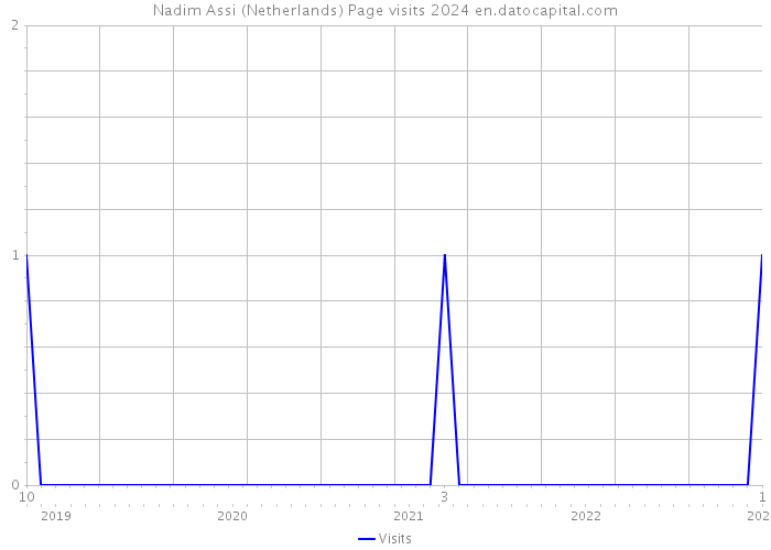 Nadim Assi (Netherlands) Page visits 2024 