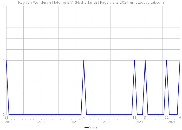 Roy van Wonderen Holding B.V. (Netherlands) Page visits 2024 