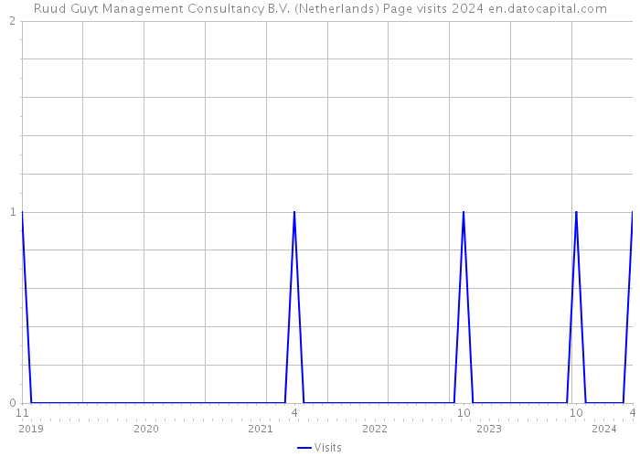 Ruud Guyt Management Consultancy B.V. (Netherlands) Page visits 2024 
