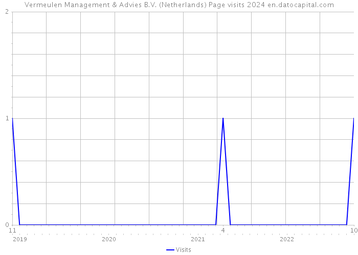 Vermeulen Management & Advies B.V. (Netherlands) Page visits 2024 