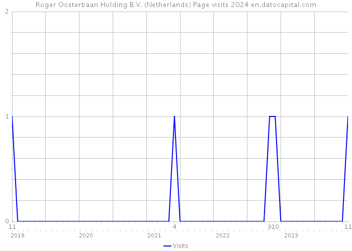Roger Oosterbaan Holding B.V. (Netherlands) Page visits 2024 