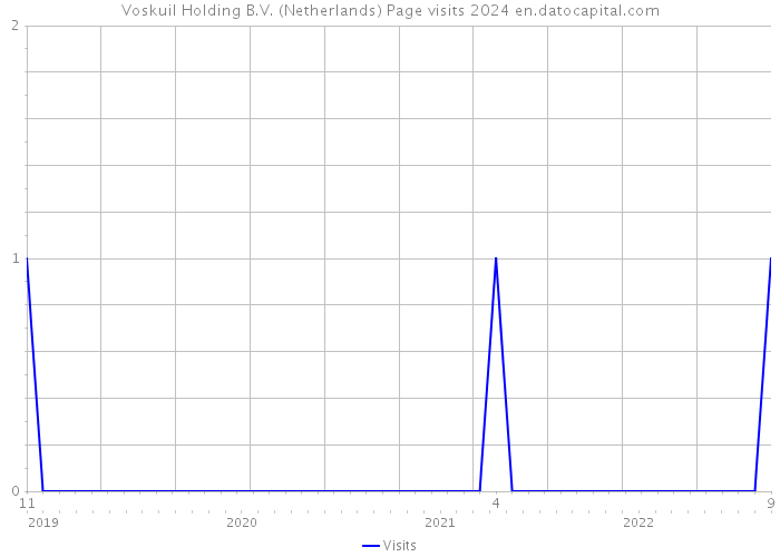 Voskuil Holding B.V. (Netherlands) Page visits 2024 