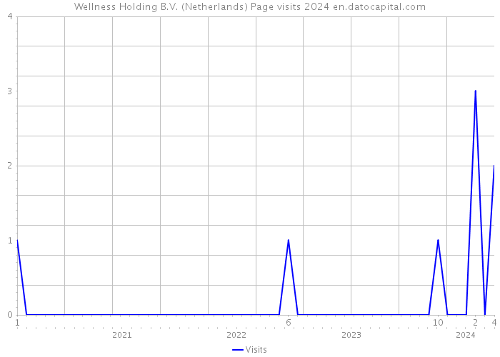 Wellness Holding B.V. (Netherlands) Page visits 2024 