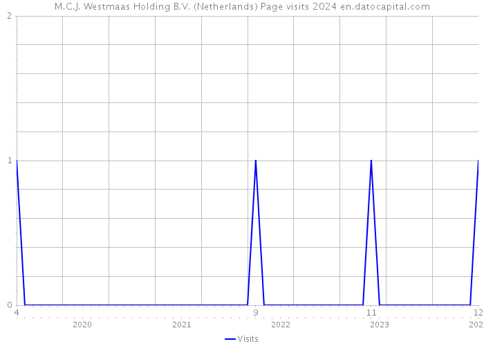M.C.J. Westmaas Holding B.V. (Netherlands) Page visits 2024 