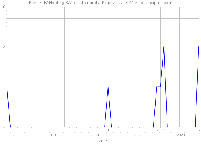 Roelands' Holding B.V. (Netherlands) Page visits 2024 