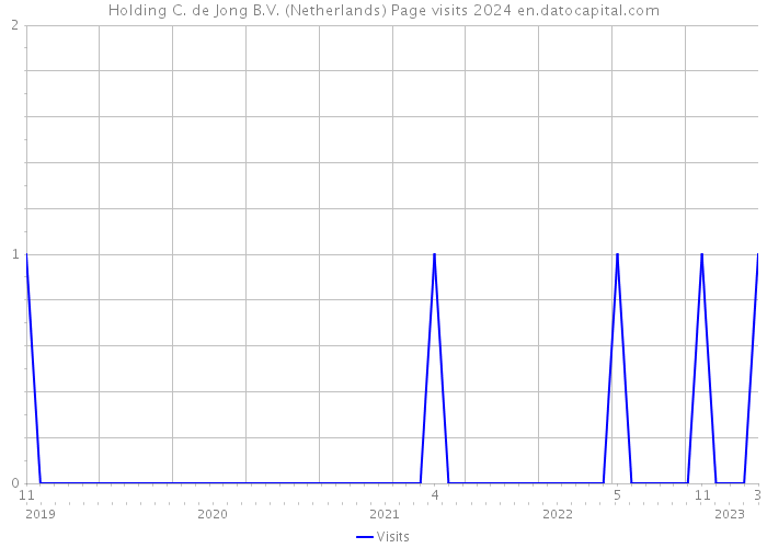 Holding C. de Jong B.V. (Netherlands) Page visits 2024 