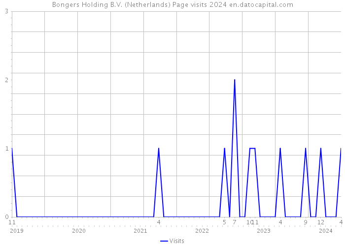 Bongers Holding B.V. (Netherlands) Page visits 2024 