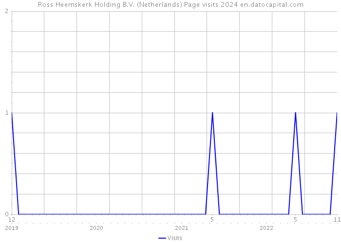 Ross Heemskerk Holding B.V. (Netherlands) Page visits 2024 